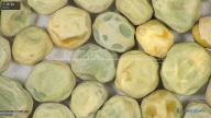 column seed