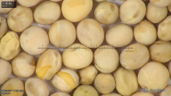 column seed