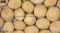 column seed