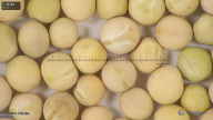 column seed