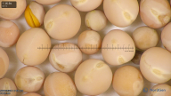 column seed