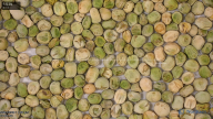 seed