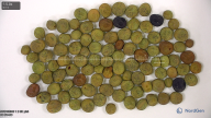 column seed