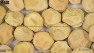 column seed