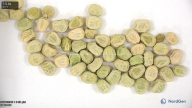 seed
