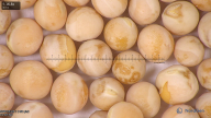 column seed