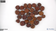 seed