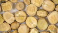column seed