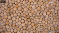 column seed