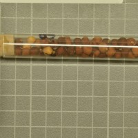 column  