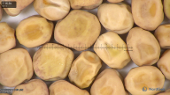 column seed