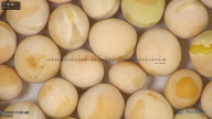column seed
