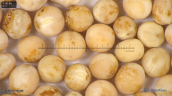 column seed