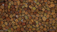 column Seed