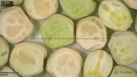 column seed