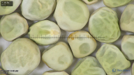 column seed