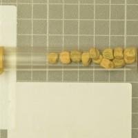 column  