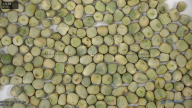 seed