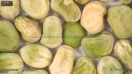 column seed