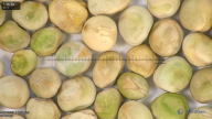 column seed