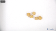 seed