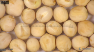 column seed