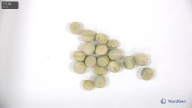 Seed