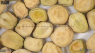 column seed