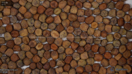 column Seed