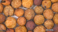 column seed