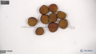 column seed