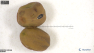 column seed