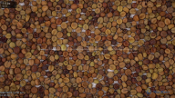seed