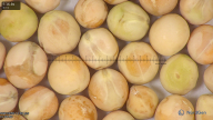 column seed