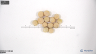 column seed