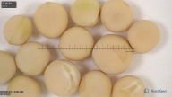 column seed