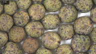 column seed