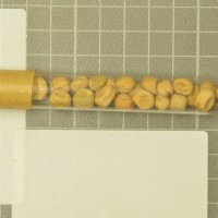 column  