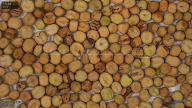 seed