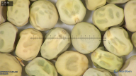 column seed