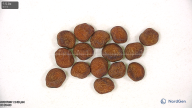 column seed