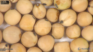 column seed
