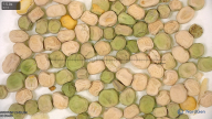 column seed