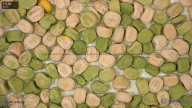 column seed