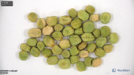 column seed