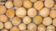 column seed