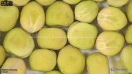 column seed
