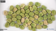 seed