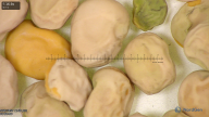 column seed