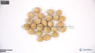 column seed